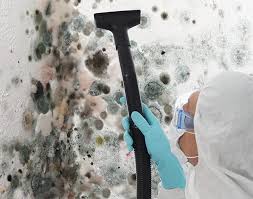 Best Water Damage & Mold Remediation  in Mcallen, TX